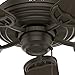 Hunter Fan Company Ceiling, 52-Inch, New Bronze Finish