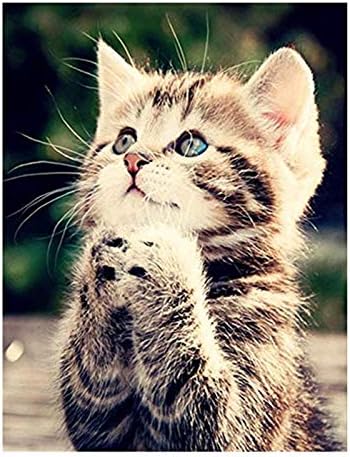 Codohi ダイヤモンドアート キット 猫 ダイアモンドビーズ絵画キット 5d ダイアモンドカラーストーン 貼り付けタイプビーズアート ハンドメイド芸術品装飾 Diy手芸キット 40 50ｃｍ