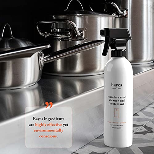 Bayes HighPerformance Stainless Steel Cleaner Spray, Polish, and