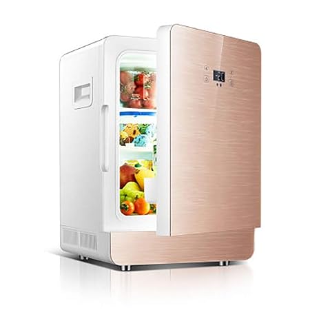Aijin 20L Refrigerador para automóvil Refrigerador de ...