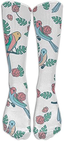 Budgie Parrot Beauty Pattern Novelty Socks Casual Patterned Hot