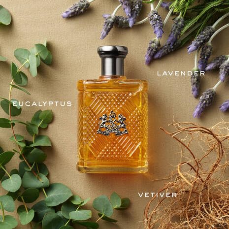 RALPH LAUREN FRAGRANCES Safari - Eau de Toilette - Men's Cologne - Woody & Fresh - With Eucalyptus, Lavender, and Vetiver - Medium Intensity - 4.2 Fl Oz