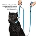 Classic Comfort Dog Collar Premium Nylon Neoprene Padded Dog Collar for Large Sized Dog Comfortable Collar for Your Dog by Wagtime Club. (Bright Blue) L