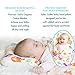 WhaleCare Baby Flat Head Pillow, Receiving Swaddle Blanket, and Bib Set - Breathable Organic Cotton Head Pillow for Flat Head Syndrome Protection - Baby Shower Newborn Gift