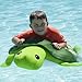 Big Joe Turtle Pool Petz Bean Floats, Standard