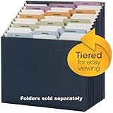 Smead 12-pocket Tiered Stadium File