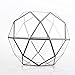 NCYP 8 inches Glass Geometric Dome Terrarium, Triangular Pentagon 32-Sides Indoor Succulent Air Plants Terrarium, Balcony Miniature Decor Centerpiece, No Plants Included