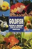 The Guide to Owning Goldfish by Spencer Glass