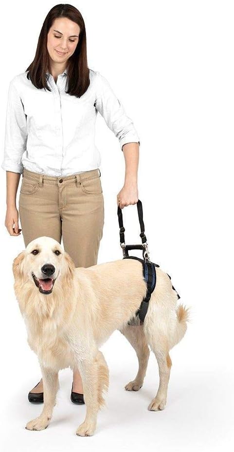 PetSafe CareLift Rear Support Harness, Lifting Aid with Handle, Great for Pet Mobility and Older Dogs, Comfortable - Image 3