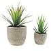 Velener Mini Home Decoration Aloe Vera Artificial Plants with Paper-Mache Pots (Set of 2), 7 inches and 5 inches, Faux Plants for Living Room, Kitchen, Bedroom, and Office Decor…