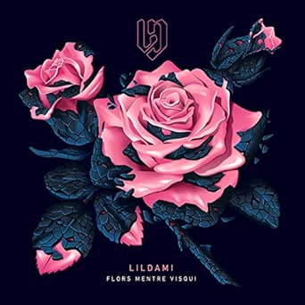 Maleducao Rmx By Lildami On Amazon Music Amazon Com amazon com