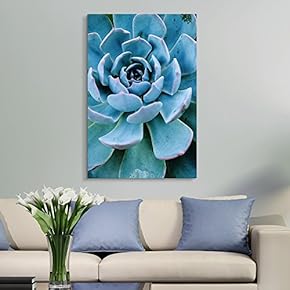 Crisp Pointy Blue Succulent - Canvas Art