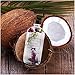 Bath and Body Oil for Women - Coconut Oil - Massage Oil - Jolie Chic