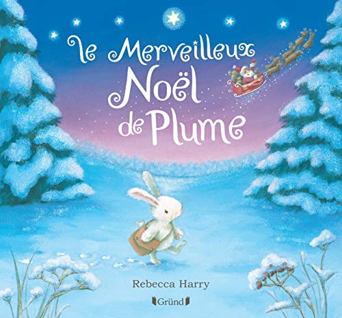 Le merveilleux Noël de plume by