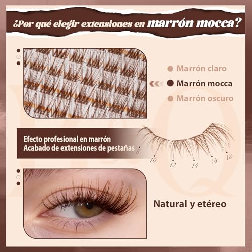 B&Q Pestañas Postizas Kit Completo Marrones Mochalash 01 Extensiones de Pestañas de Racimo Curvatura C de 8-16 mm b&q lashes Completo con Efecto Wispy para Pelo Claro/Oscuro (Set Mochalash 01)