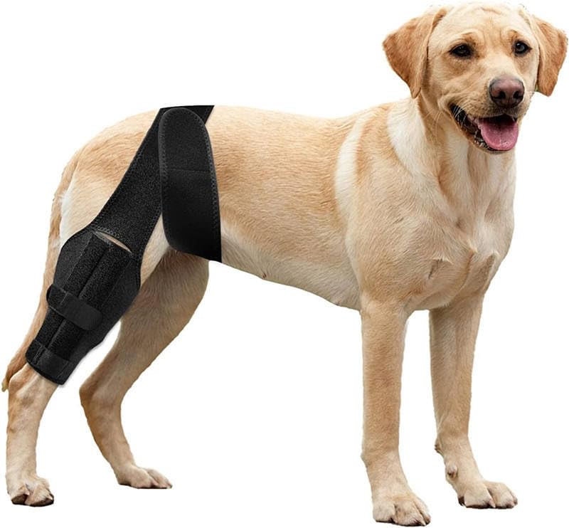 Photo 1 of Dog Knee Brace for ACL Tear & Hind Leg Support - Comfortable & Adjustable Knee Brace for Ligament Injuries, Arthritis, & Patellar Luxation - Hip Support for Reducing Pain & Injury Recovery (L)