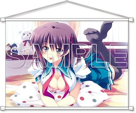 Amazon 晴れときどきお天気雨 佐倉水希 タペストリー 電撃姫11年10月号誌上通販 アニメ 萌えグッズ 通販
