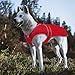 MIGOHI Reflective Waterproof Windproof Dog Coat - Warm Jacket Reversible Stormguard Winter Vest for Small to Large Dogs (Red, XL)