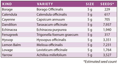 Medicinal Garden Survival Seed Assortment - Over 20,000 Long Term Storage Emergency Seed Vault - Non-GMO, Heirloom Healing Herbs: Cayenne, Fenugreek, Lemon Balm, Yarrow, More