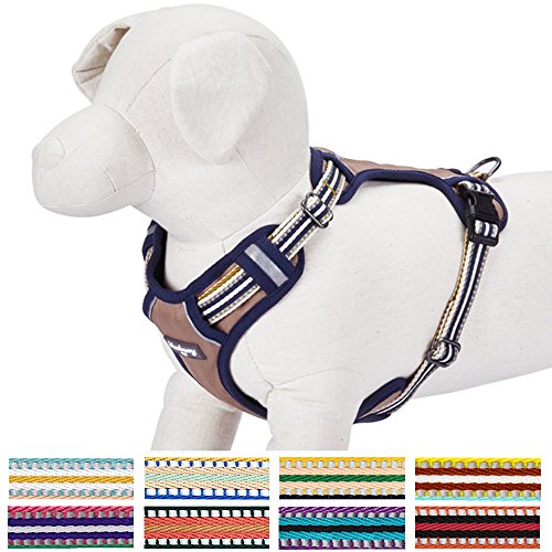 Blueberry Pet 9 Colors Soft & Comfy 3M Reflective Multi-colored Stripe Padded Dog Harness Vest, Chest Girth 21"-26", Neck 17.5"-26", Olive & Blue-gray, Medium, Mesh Harnesses for Dogs
