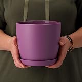 B2C Flower Pots 30 cm Violet Matt with Saucer Plant Planter 8 Sizes view 3