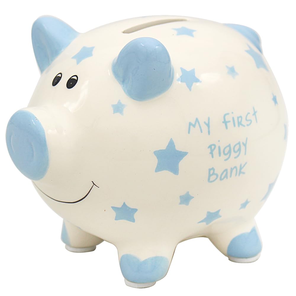 Ceramic Piggy Bank | Blue Pig design | 1 Pc
