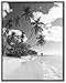 MCS 22x28 Original Poster Frame in Black with Pressboard Back and Styrene Glazing, 22 x 28 in