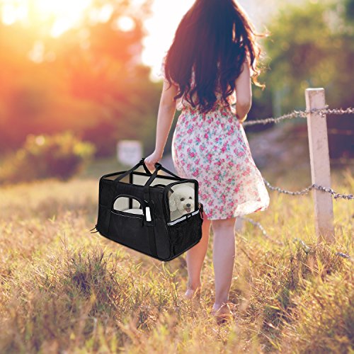 GDPETS Pet Carrier, Airline Approved Cat Carrier Bag for Small& Medium Sized Animal, Soft-Sided Pet Travel Tote with Fleece Bed, Portable Dog Carriers Hold Up to 10lbs and Fit Under Seats - Thumbnail 5