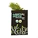 Green Powder 100% Organic Stevia Box of 50 Sachets Sachets (300 mg ea)