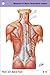 Netter's Anatomy Flash Cards: With STUDENT CONSULT Online Access (Netter Basic Science)