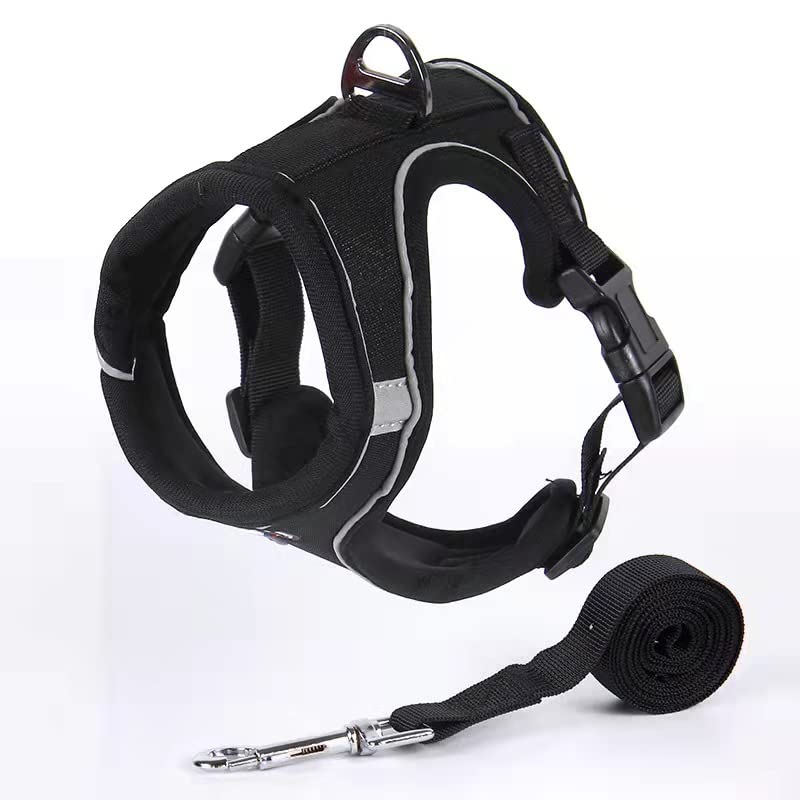 Green Globe No-Pull Dog Harness Padded Adjustable Pet Vest Harness with Handle Front Clip Harness for Large Dogs Training or Walking, Durable and No Choking-Black (Small)