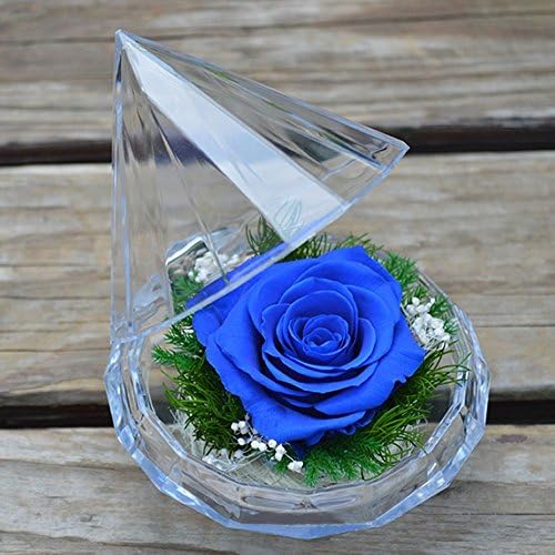 Nice Moment Preserved Fresh Rose Live for 3 Years Forever Rose with Diamond Shaped Box and Gift Box for Lovers Friends Familie (Blue)