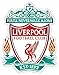 Liverpool EPL Vinyl bumper Sticker Decal 5"x4" car truck