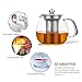 Glass Teapot with Stainless Steel Infuser and Lid,26oz/750ml Borosilicate Ultralight High Heat Resistance Teapots for Flower Tea and Loose Leaf Tea Pot