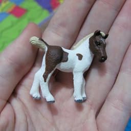 schleich falabella foal
