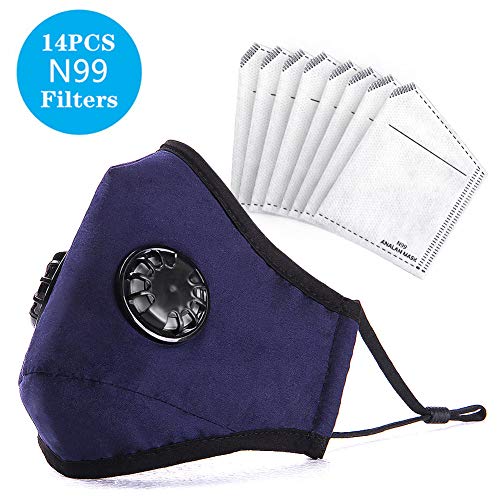 ANALAN Dust Masks Reusable Washable Face Mask Air Masks For Dust Smoke Pollen With N99 Filters (Old blue,14pcs Filter)