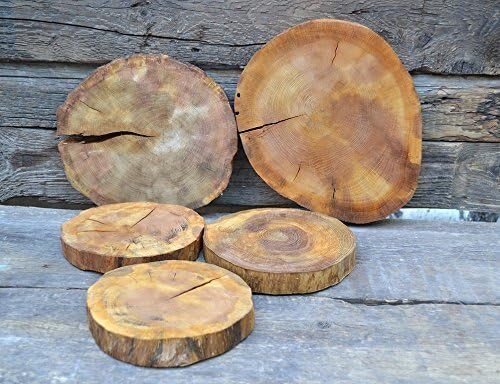 6-11" inches A set of 5 wooden slices of rustic oak, wood slices for coasters, wood slices for crafts, wood slices for wedding, wood slices for wedding table numbers, wood slices variety