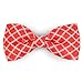 Martha Stewart Bow Tie Pet Collar Accessory Set, One Size