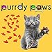 Purrdy Paws 40 Pack Soft Nail Caps for Cat Claws Orange Kitten