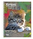 Kittens 2020 6 x 7.75 Inch Weekly Engagement Calendar, Animals Kittens by