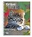 Kittens 2020 6 x 7.75 Inch Weekly Engagement Calendar, Animals Kittens by