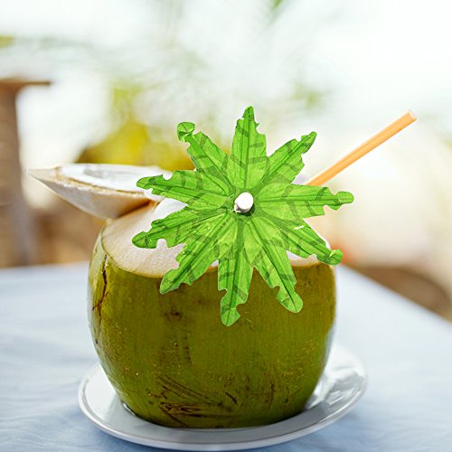 Bilipala Green Tropical Coconut Palm Tree Paper Umbrellas Cocktail Parasol Picks Cupcake Toppers Picks, Pack of 20 - Thumbnail 5