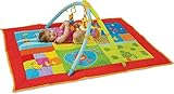 Taf Toys Two In One Smart Gym