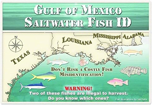 Saltwater Fish ID ISBN0974909165 Gulf Of Mexico Saltwtr Fish ID Book