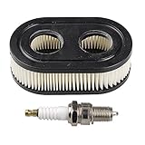 Hipa 593260 798452 Air Filter with Spark Plug for Briggs & Stratton 550E-550EX Series 4247 5432 5432K Engine Lawnboy Lawnmower