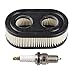 HIPA 593260 798452 Air Filter with Spark Plug for Briggs & Stratton 550E-550EX Series 4247 5432 5432K Engine Lawnboy Lawnmower
