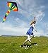 Kids Large Rainbow Delta Kite - the Best Outdoor Toys for Summer Beach Fun, Durable Easy Flyer Comes with Kite Reel Rods and Happy Family Time