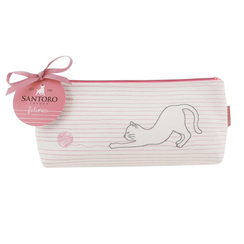 Felines Cat Medium Accessory Case - I've Got Felines for You