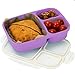 Leakproof, 3 Compartment, Bento Lunch Box, Airtight Food Storage Container (1 Pc) - Purple