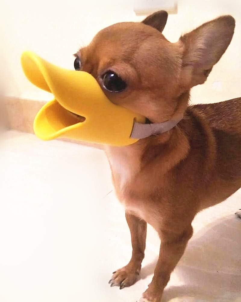 duckbill dog muzzle